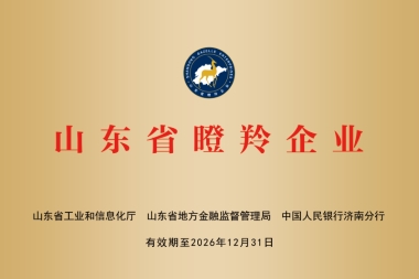 山东省瞪羚企业 山东省瞪羚企业
