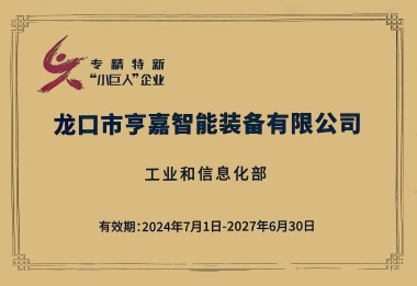 专精特新小巨人 专精特新小巨人